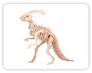 Little Parasaurolophus  A