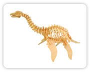 Plesiosaurus  C