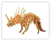 Styracosaurus  C